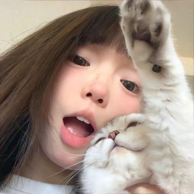 心链 在线观看